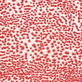 Red 16-oz. Amaco Crawl Mid-Range Glaze